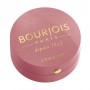 Румяна для лица Bourjois Little Round Pot Blusher 95 Rose De Jaspe, 2.5 г