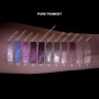 Тени-пигмент для век Pierre Rene Pure Pigment, 05 Orchid Haze, 2.4 г