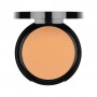 Пудра компактная Pierre Rene Compact Powder 10 13 г