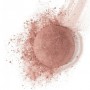 Румяна для лица Bourjois Blush 85 Sienne, 2.5 г