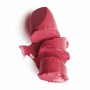 Помада для губ Paese Argan Oil Lipstick с аргановым маслом 51, 4.3 г