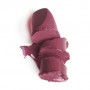 Помада для губ Paese Argan Oil Lipstick с аргановым маслом 40, 4.3 г