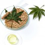 Восстанавливающий крем-гель для чувствительной кожи лица Garnier BIO Repairing Hemp с эфирным маслом конопли, 50 мл