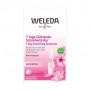 Разглаживающий концентрат для лица Weleda 7-Day Smoothing Ampoules с маслом розы москета, 7*0.8 мл