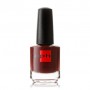 Лак для ногтей Sophin Nail Polish 065, 12 мл