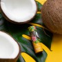 Бальзам для губ Orientana Coconut Energy Natural Lip Balm Кокосовая энергия, 4.2 г