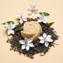 Бальзам для тела Orientana Massage Bar Jasmine & Green Tea Body Balm Жасмин и зеленый чай, 60 г