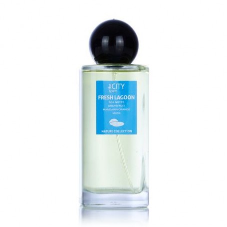 The City Spirit Nature Fresh Lagoon Туалетная вода мужская, 100 мл