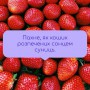 Суфле для тела Sovka Skincare Body Suffle Young Strawberry, 200 мл