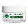 Ночной восстанавливающий крем для лица Canabo с коноплей, 50 мл