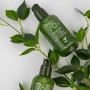 Сыворотка для лица FarmStay Green Tea Calming Facial Serum с зеленым чаем 76%, 100 мл