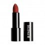 Матовая помада для губ Paese Mattologie Matte Lipstick Rice Oil 112 Vintage Red, 4.3 г