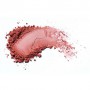 Компактные румяна для лица Pierre Rene Long Lasting Powder Blush, 09 Delicate Pink, 6 г