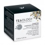 Крем для лица Teaology Ginger Tea Emergizing Aqua Cream с имбирным чаем, 50 мл