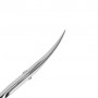 Ножницы профессиональные для кутикулы Staleks Pro Expert 20 Type 2, SE-20/2