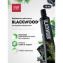 Отбеливающая зубная паста Splat Special Blackwood, 75 мл