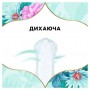 Ежедневные прокладки Discreet Deo Waterlily Multiform, 100 шт