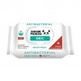 Влажные салфетки Сніжна Панда Antibacterial 99% Wet Wipes, Green Fresh, 100 шт