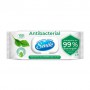 Влажные салфетки Smile Antibacterial с соком подорожника, з клапаном, 100 шт