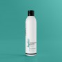 Бессульфатный увлажняющий шампунь Profi Style Hydro Shampoo для сухих волос, 250 мл