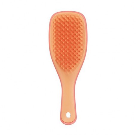 Расческа для волос Tangle Teezer The Ultimate Detangler Mini Salmon Pink & Apricot, 1 шт