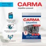 Скребок кухонный Carma Эконом, нержавеющий, 1 шт