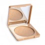 Компактный хайлайтер для лица и тела Paese Wonder Highlighter, 7.5 г