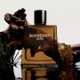 Burberry Hero Парфюмированная вода мужская, 50 мл