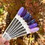 Гель-лак для ногтей Be.Se Professional Gel Polish Color Lavender 06 Эмаль, лавандовый, 10 г
