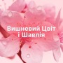 Кондиционер для белья Lenor Вишневый цвет и Шалфей, 28 стирок, 700 мл