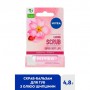 Скраб-бальзам для губ NIVEA с маслом шиповника, 4.8 г