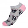 Носки женские AmiGA укороченные, бульдоги, размер 23-25