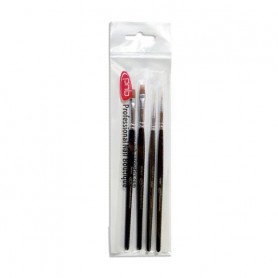 Набор кистей для дизайна ногтей PNB Set of Brushes Master Pro Мастер Про, 4 шт