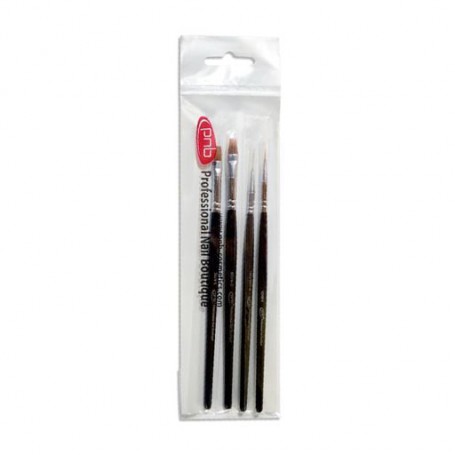 Набор кистей для дизайна ногтей PNB Set of Brushes Master Pro Мастер Про, 4 шт