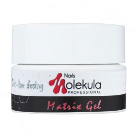 Гель-паутинка для дизайна ногтей Nails Molekula Professional Matrix Gel, Silver, 5 мл