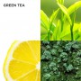 Парфюмированный набор Elizabeth Arden Green Tea женский (туалетная вода, 100 мл + крем для тела, 100 мл)