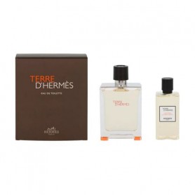 Парфюмированный набор мужской Hermes Terre d'Hermes (гель для душа, 80 мл + туалетная вода, 100 мл)