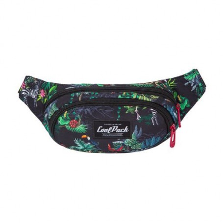 Поясная сумка CoolPack Albany Malindi на 2 отделения, от 3 лет, 23*14*7 см (F075741)