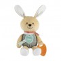 Детская мягкая игрушка с прорезывателем Chicco Зайчонок DouDou для объятий, 16*9*30 см, с рождения (11467.00)