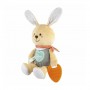 Детская мягкая игрушка с прорезывателем Chicco Зайчонок DouDou для объятий, 16*9*30 см, с рождения (11467.00)