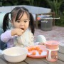 Детский набор для кормления Chicco Set Pappa, от 1 года, розовый, 5 предметов (16201.15)