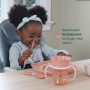 Детский набор для кормления Chicco Set Pappa, от 1 года, розовый, 5 предметов (16201.15)