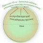 Набір посуду 2Life Y4 та слинявка Рожевий (vol-10663) (1248469)