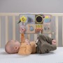 Развивающий центр для кроватки Taf Toys Познай мир, 24*43*4 см, от 6 месяцев (13115)
