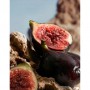 Dolce & Gabbana K By Dolce & Gabbana Духи мужские, 50 мл