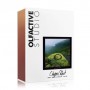 Olfactive Studio Chypre Shot Духи унисекс, 100 мл