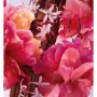 Dior Miss Dior Parfum Духи женские, 35 мл