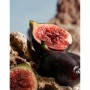 Dolce & Gabbana K By Dolce & Gabbana Духи мужские, 50 мл