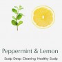 Шампунь-скраб для кожи головы Dr. Seed Peppermint & Lemon Vegan Dandruff Cool Anti Hairloss Scalp Scrub Shampoo, 250 г