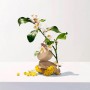 Парфюмированное мыло твердое Roger & Gallet Neroli женское, 100 г